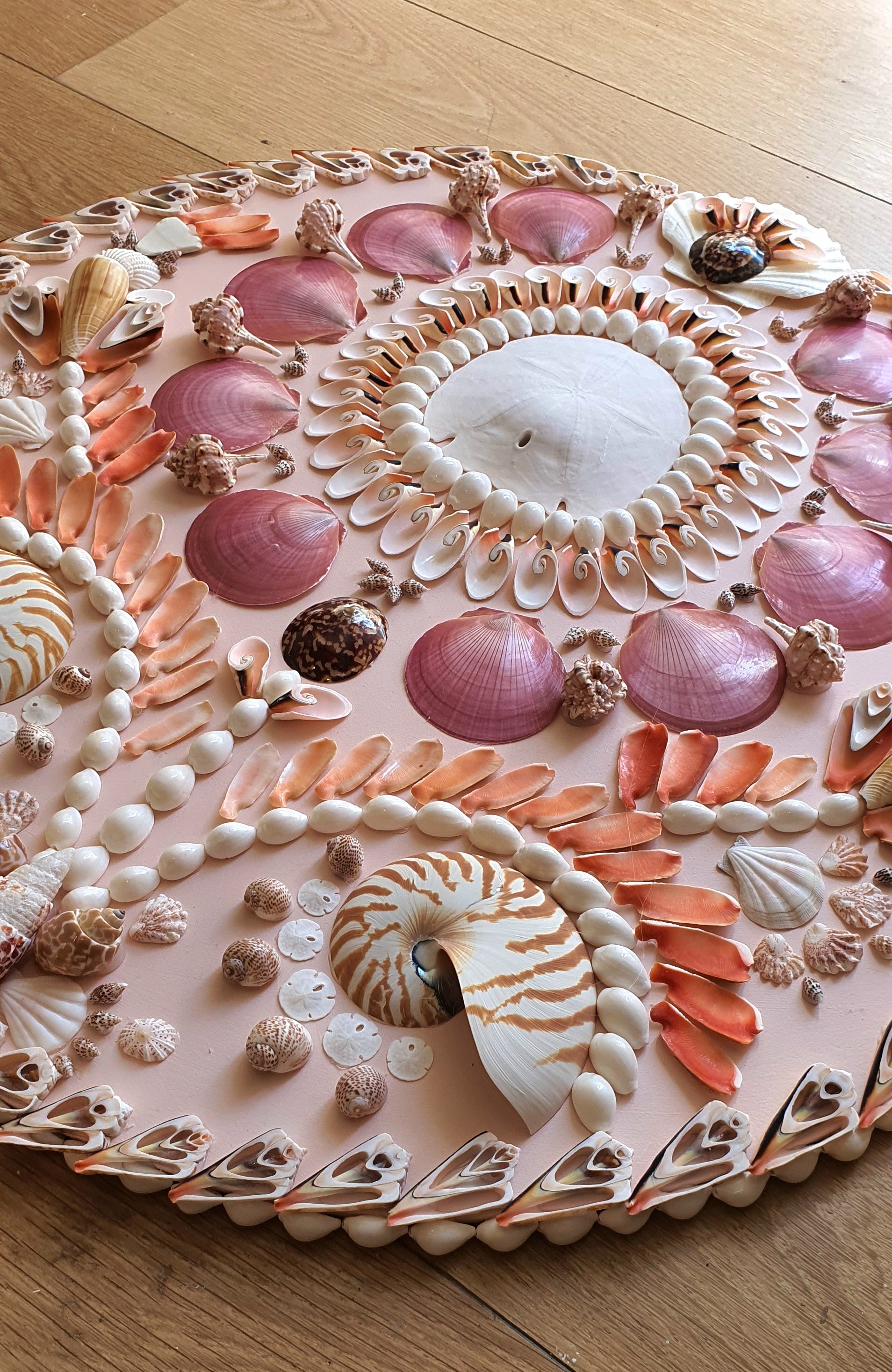 Light Pink Round Shell Panel - Original – LULU DK