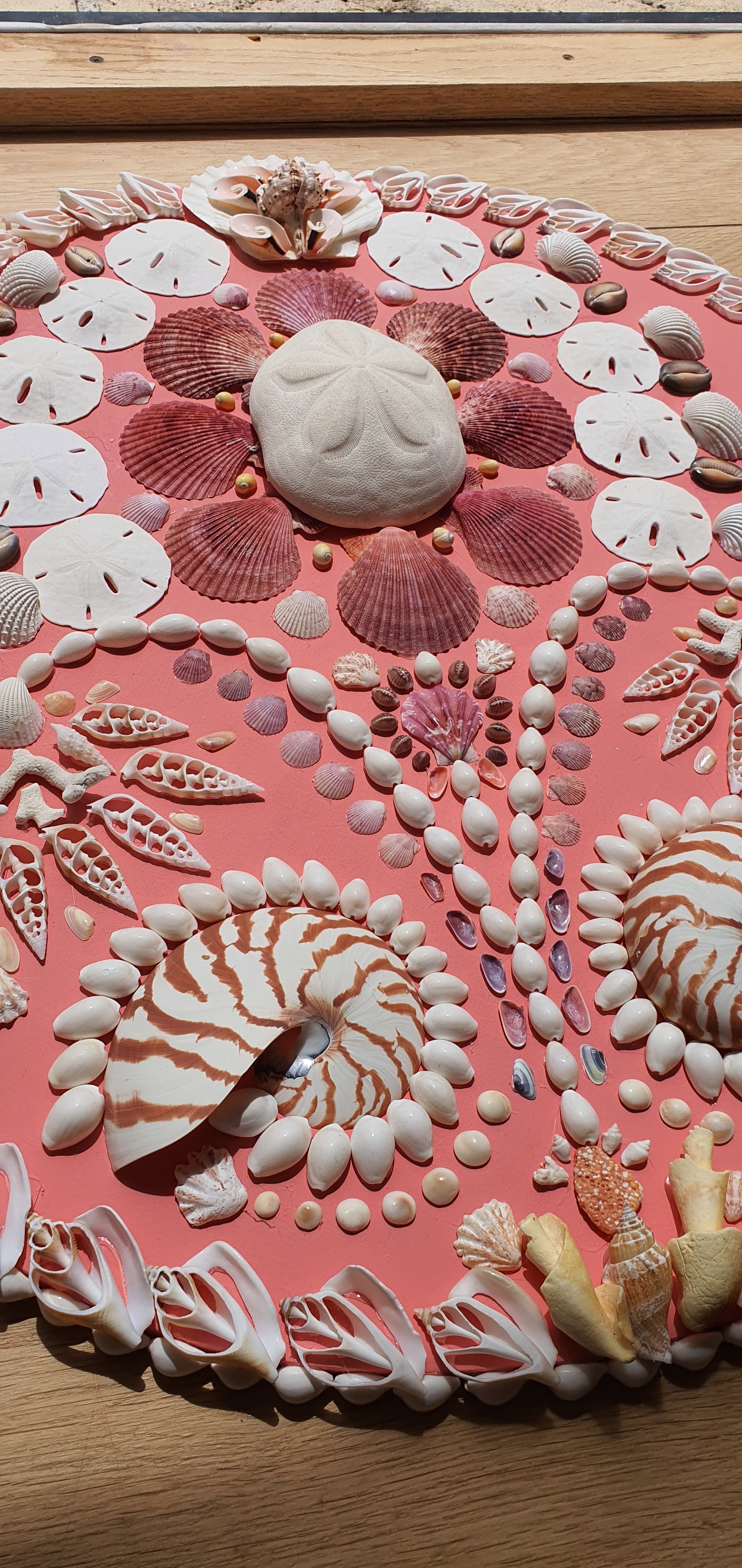 Hot Pink Round Shell Panel - Original