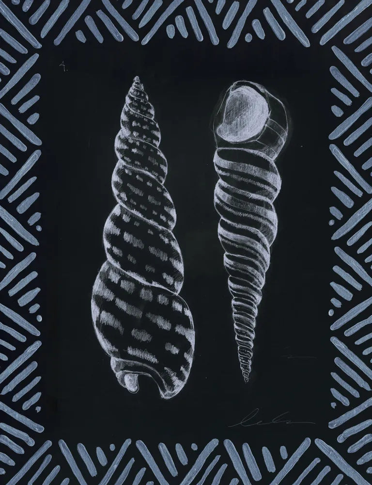Pencil Shell Drawing IV, Navy