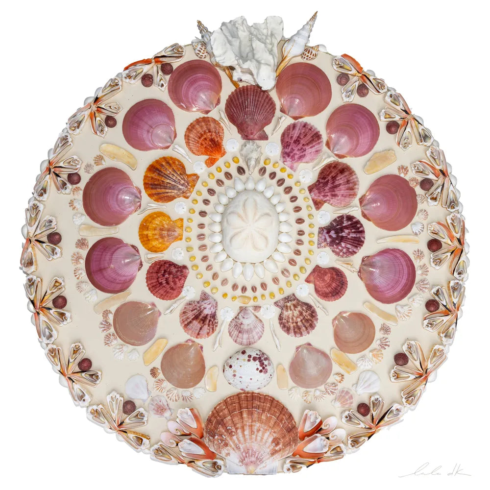 Cream, Round Shell