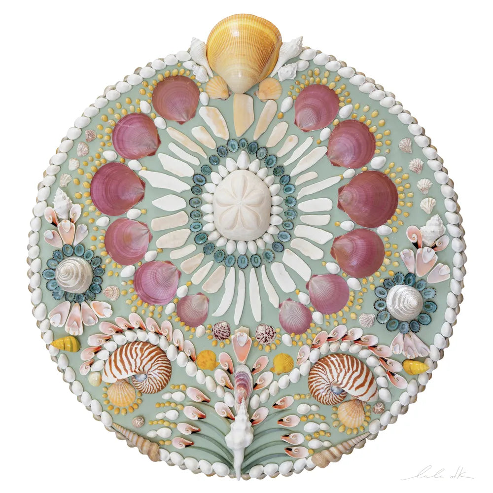 Celadon, Round Shell