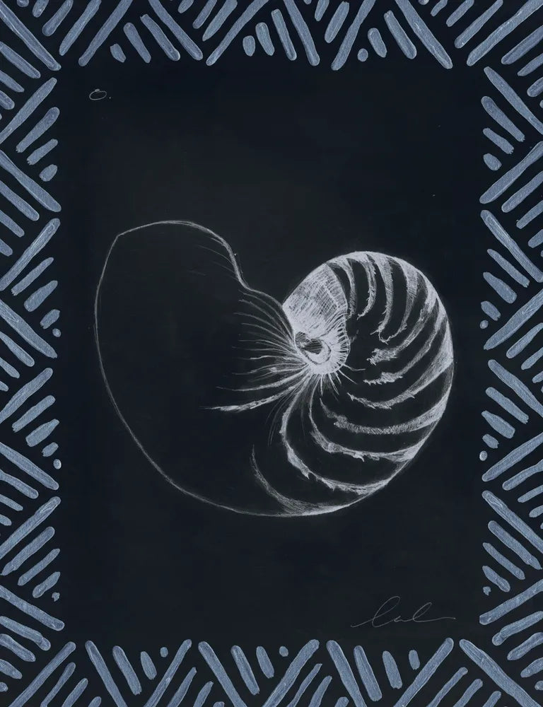 Pencil Shell Drawing VIII, Navy
