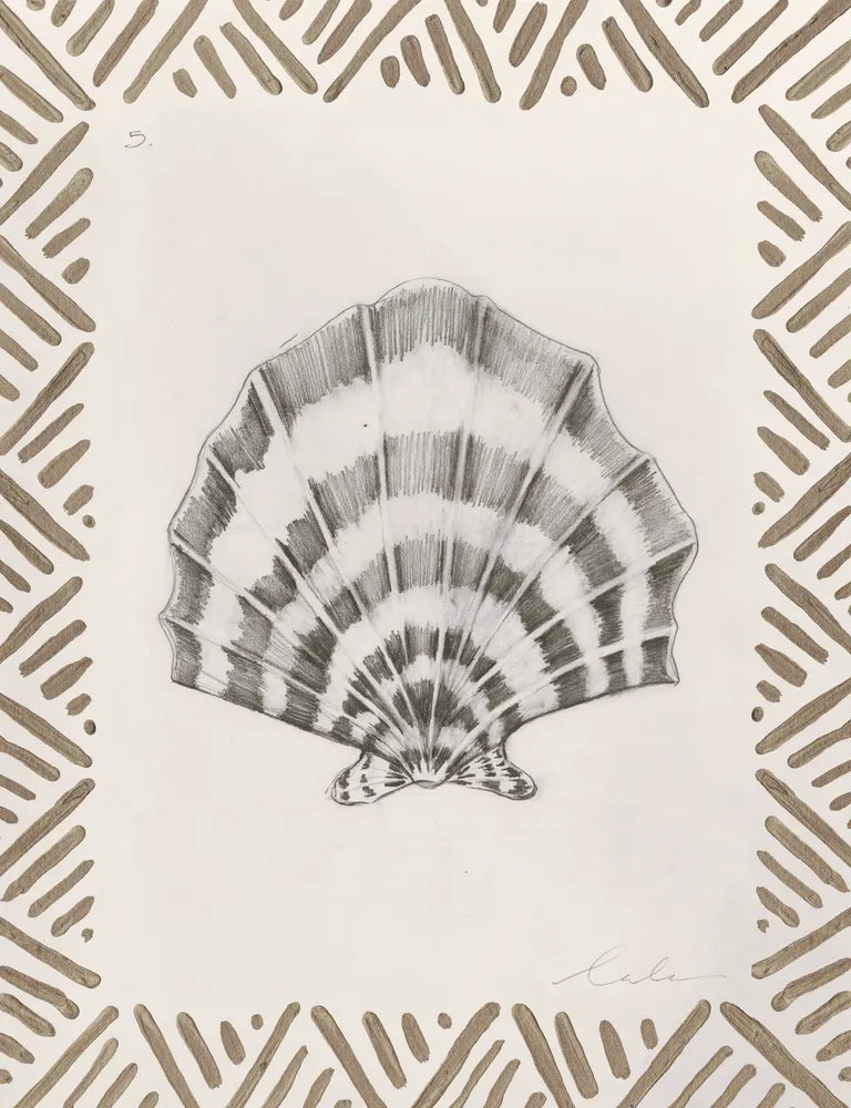 Pencil Shell Drawing V