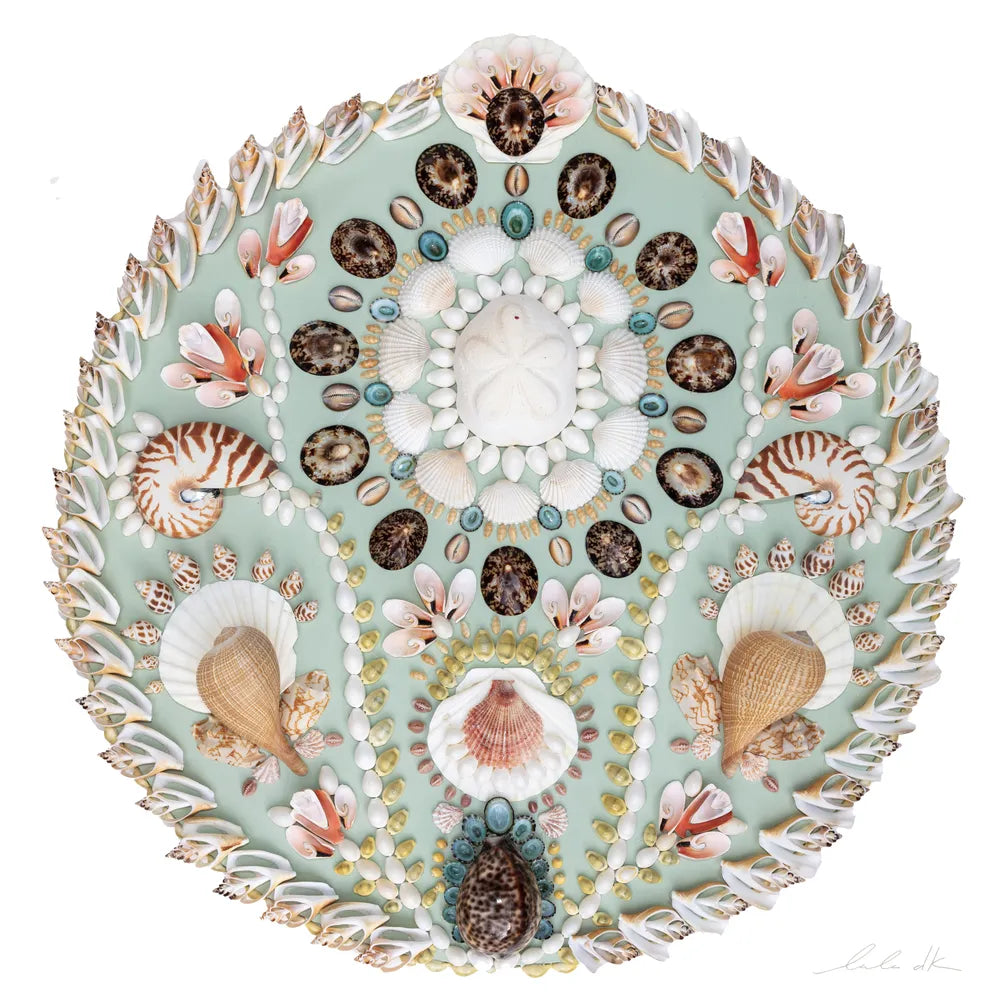 Celadon II, Round Shell