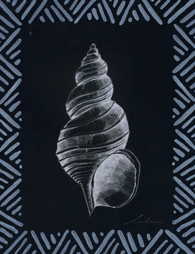 Pencil Shell Drawing III, Navy
