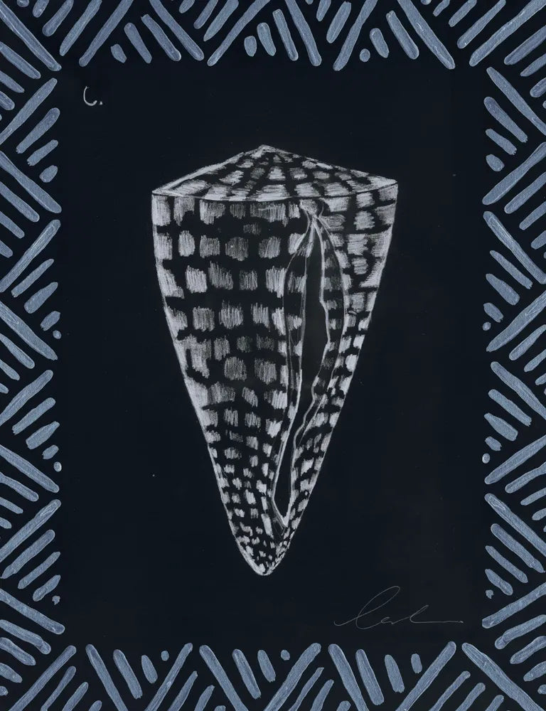 Pencil Shell Drawing VI, Navy
