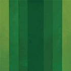 Havana Stripe, Green