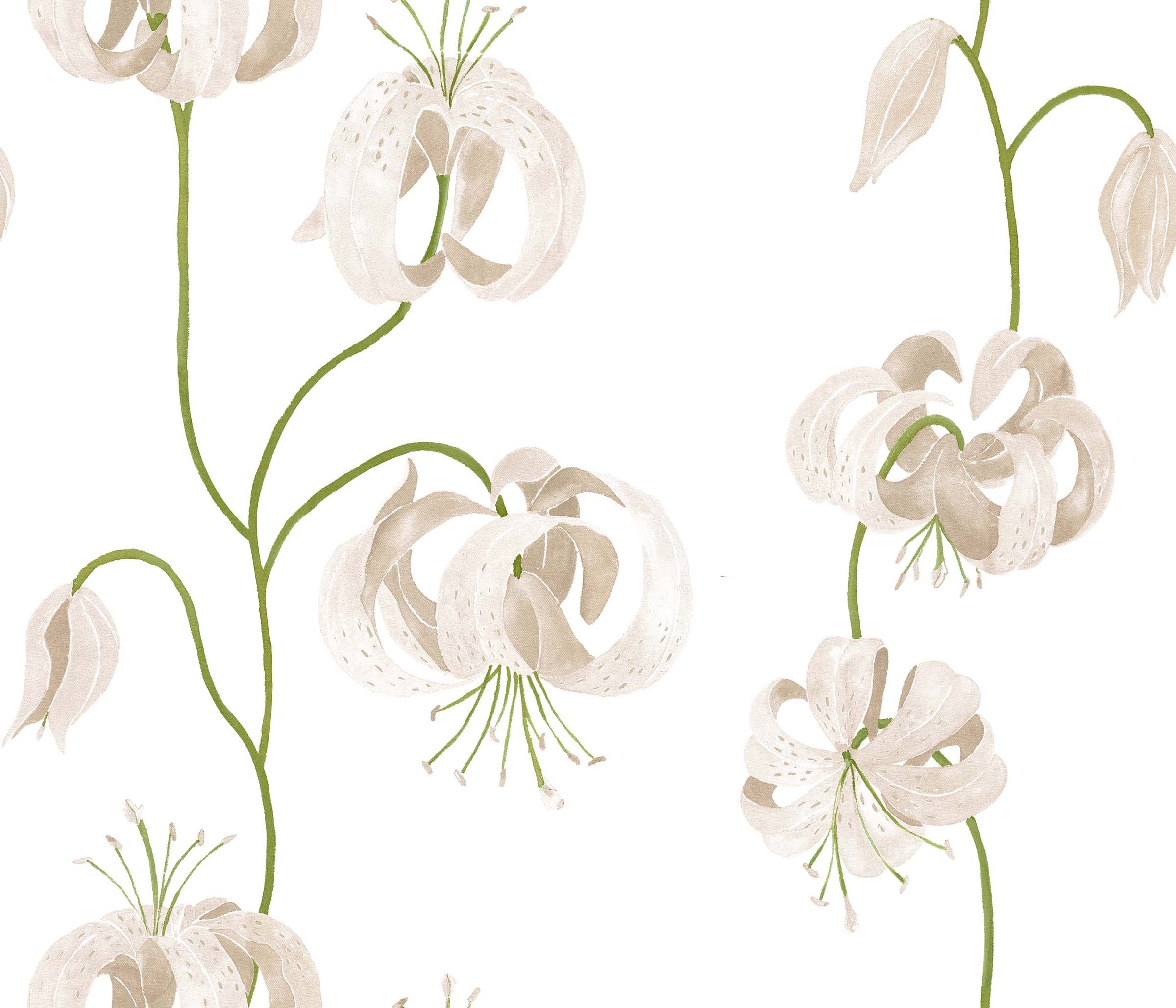 Color: Cream