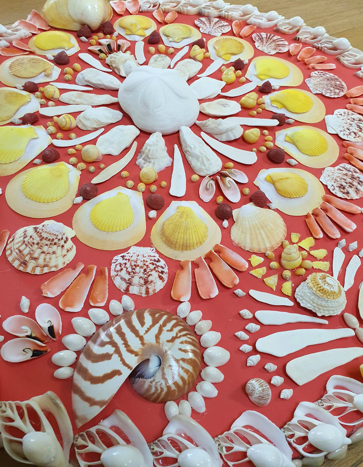 Pink Coral Round Shell Panel - Original