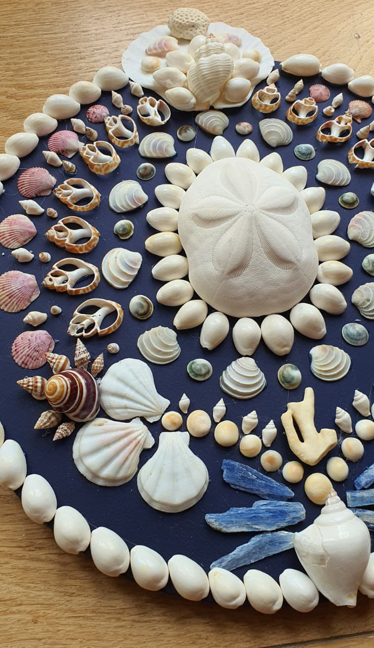 Mini Navy Round Shell Panel - Original