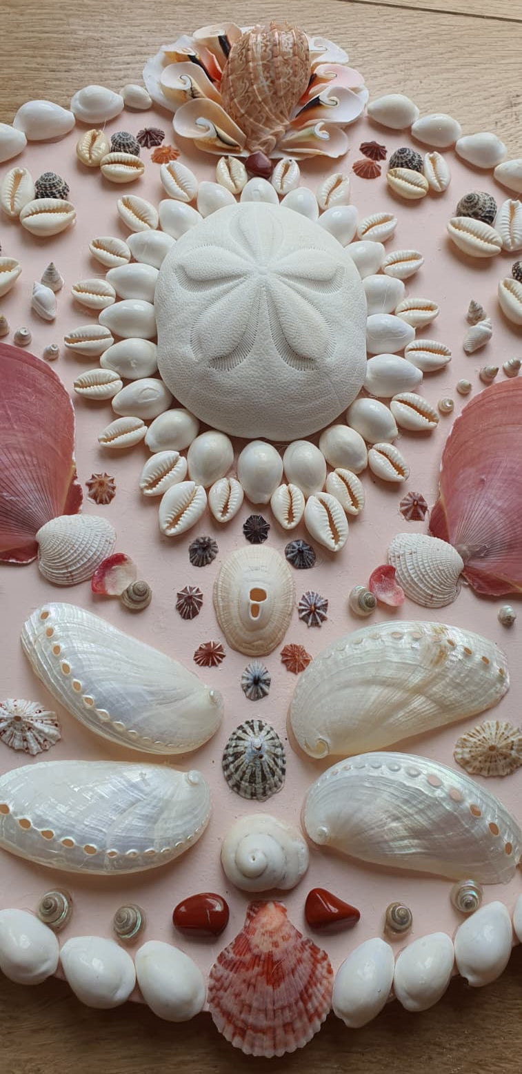 Mini Pale Pink Round Shell Panel - Original