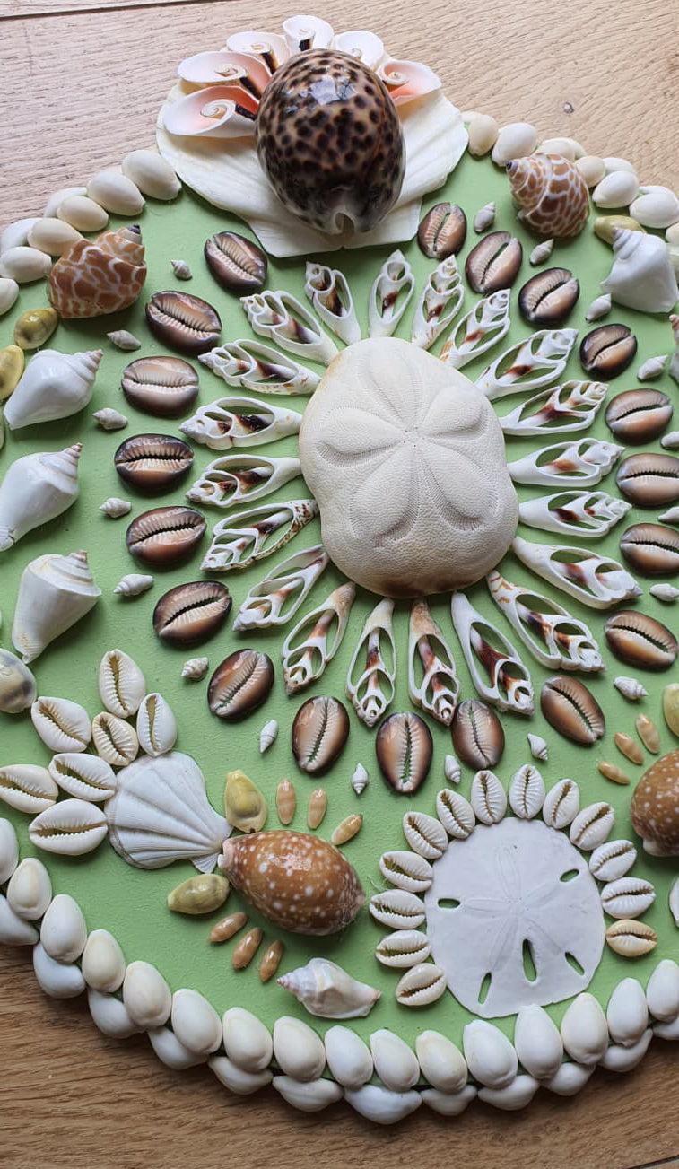 Mini Kiwi Round Shell Panel - Original
