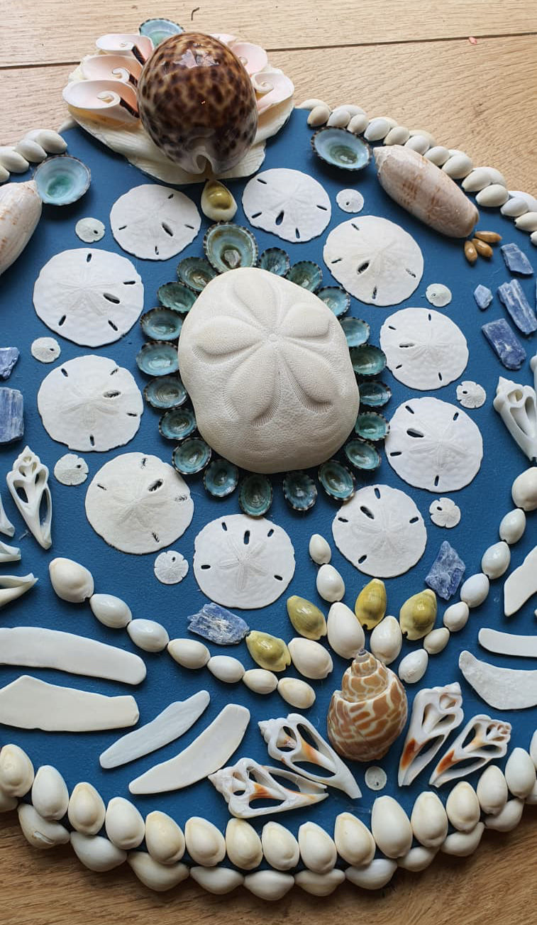 Mini Ocean Blue Round Shell Panel - Original