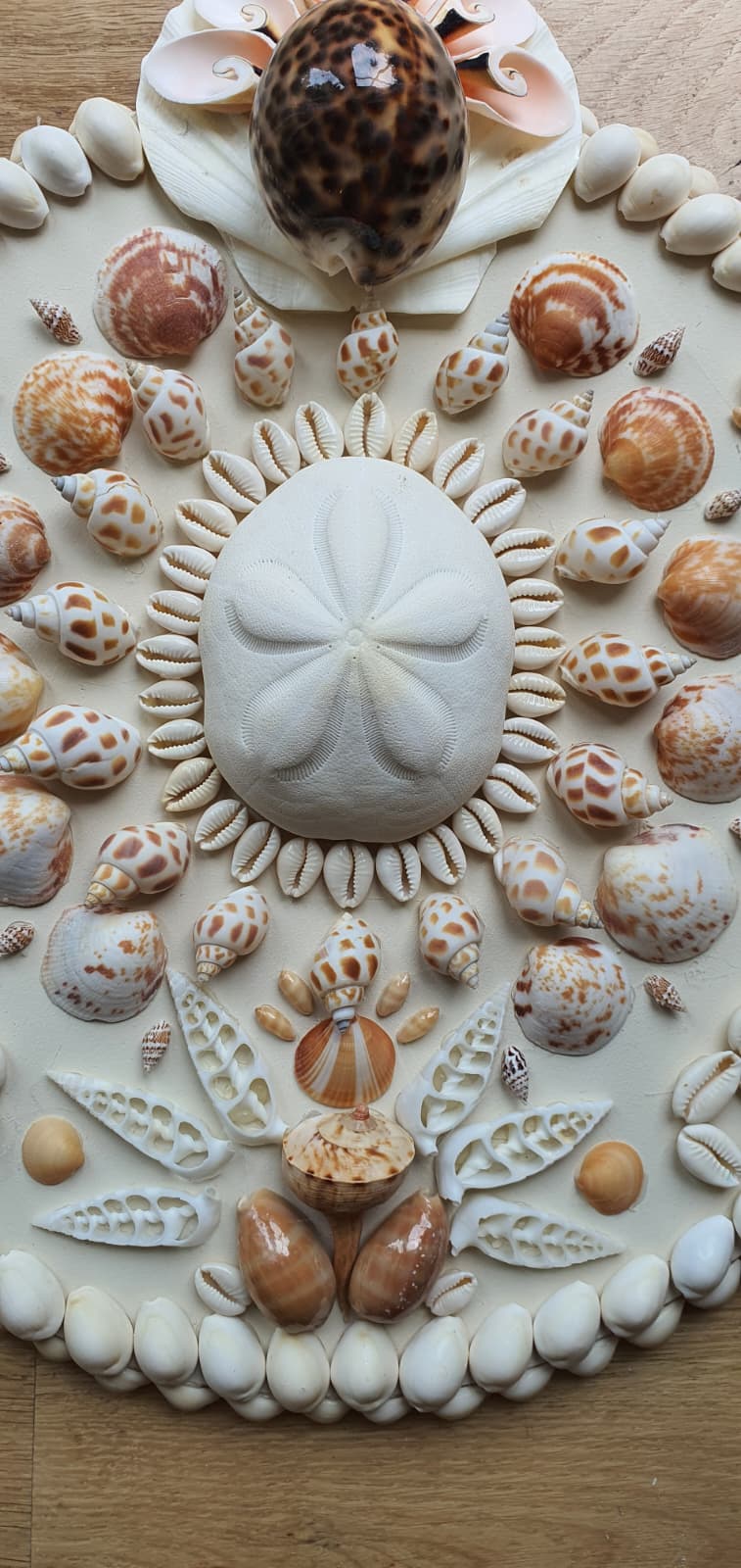 Mini Neutral Round Shell Panel - Original