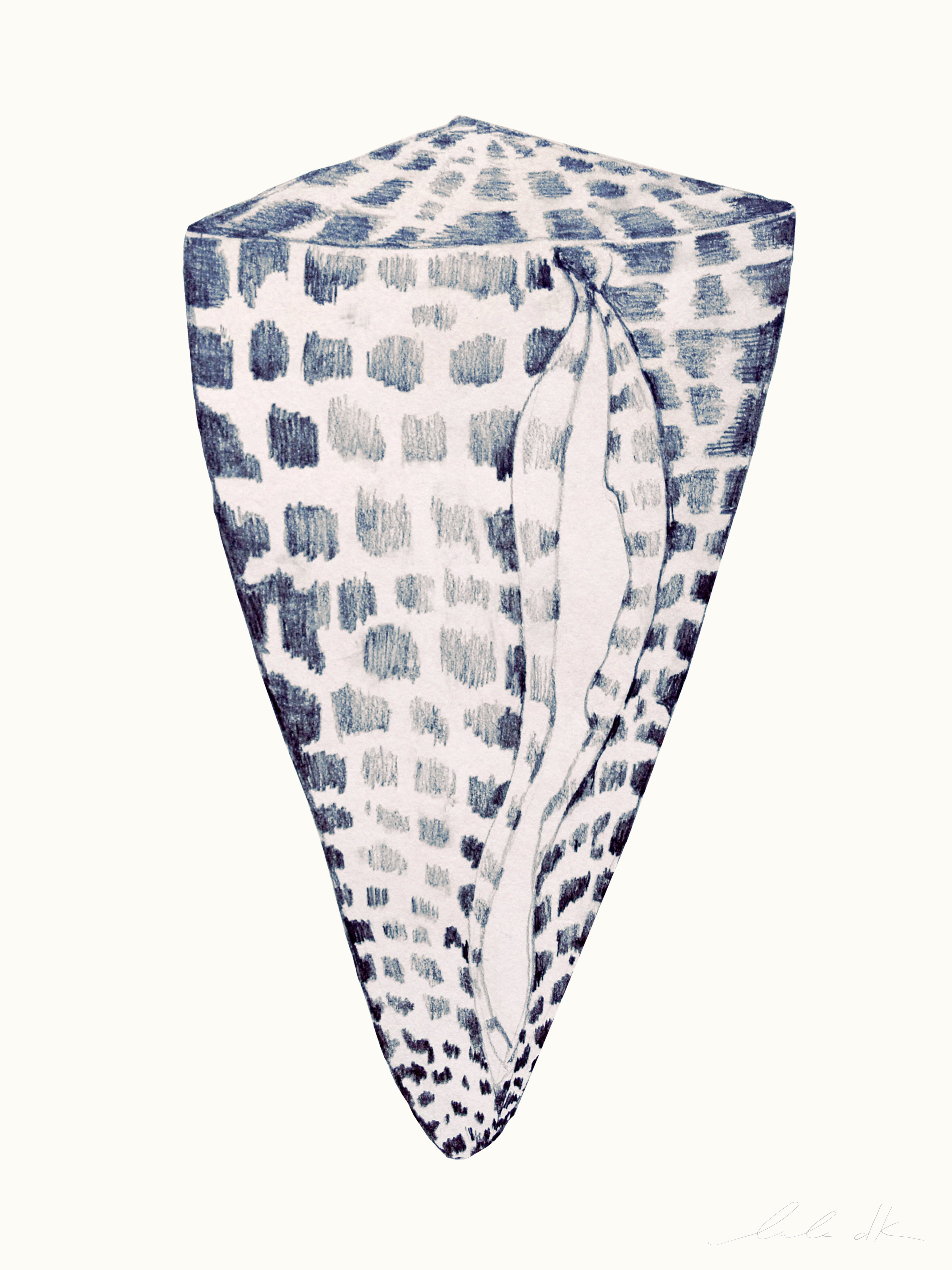 Cone Shell – LULU DK