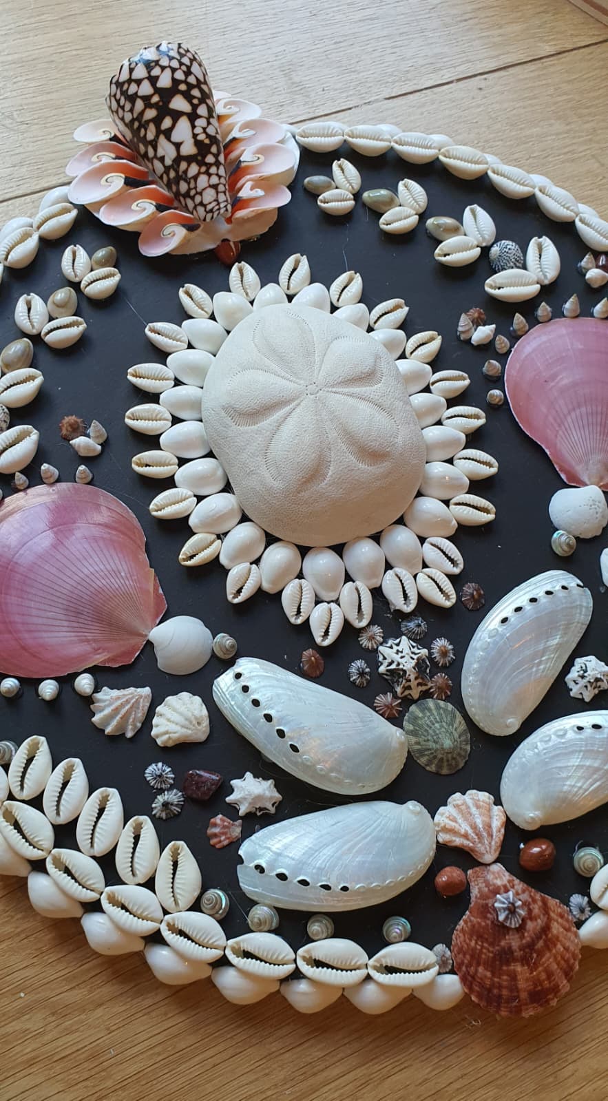 Mini Deep Navy Round Shell Panel - Original