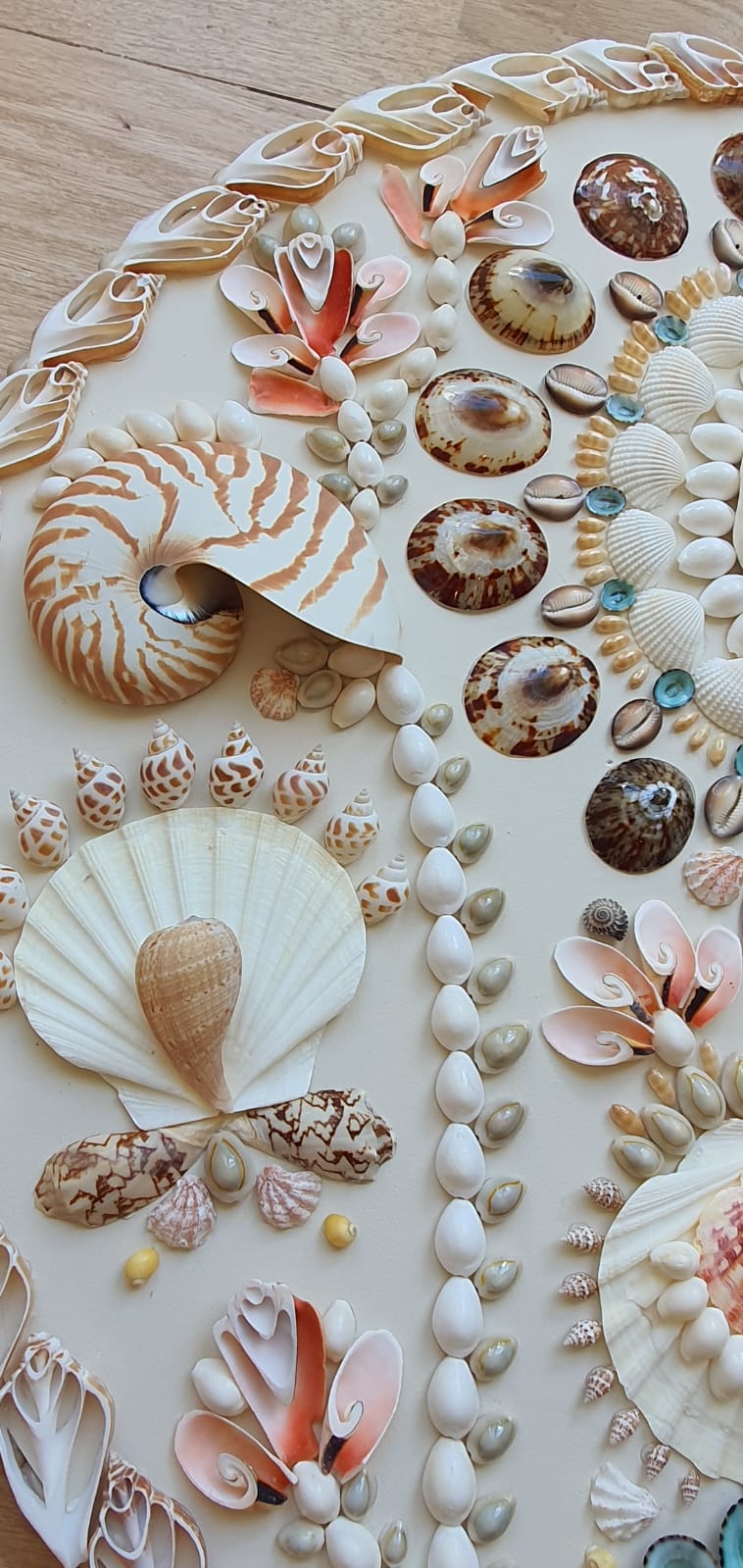 Neutral Round Shell Panel - Original – LULU DK
