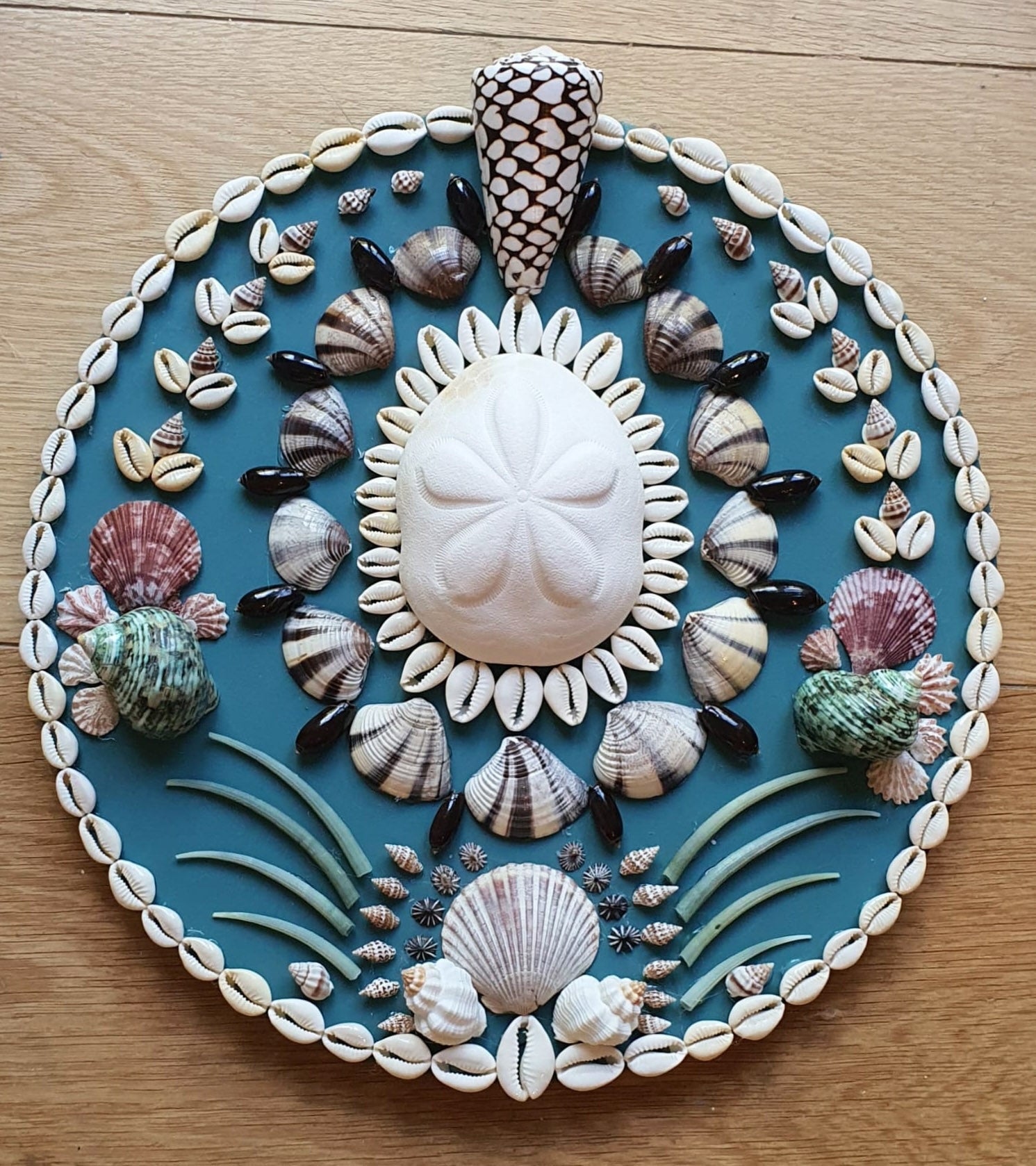 Mini Teal Round Shell Panel - Original