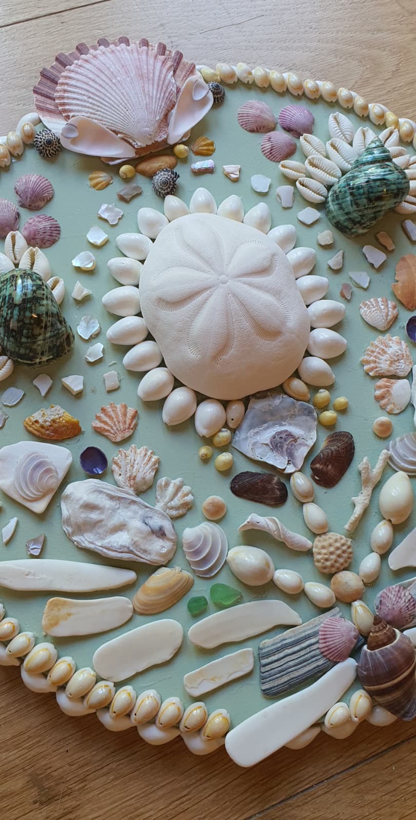 Mini Celadon Round Shell Panel - Original