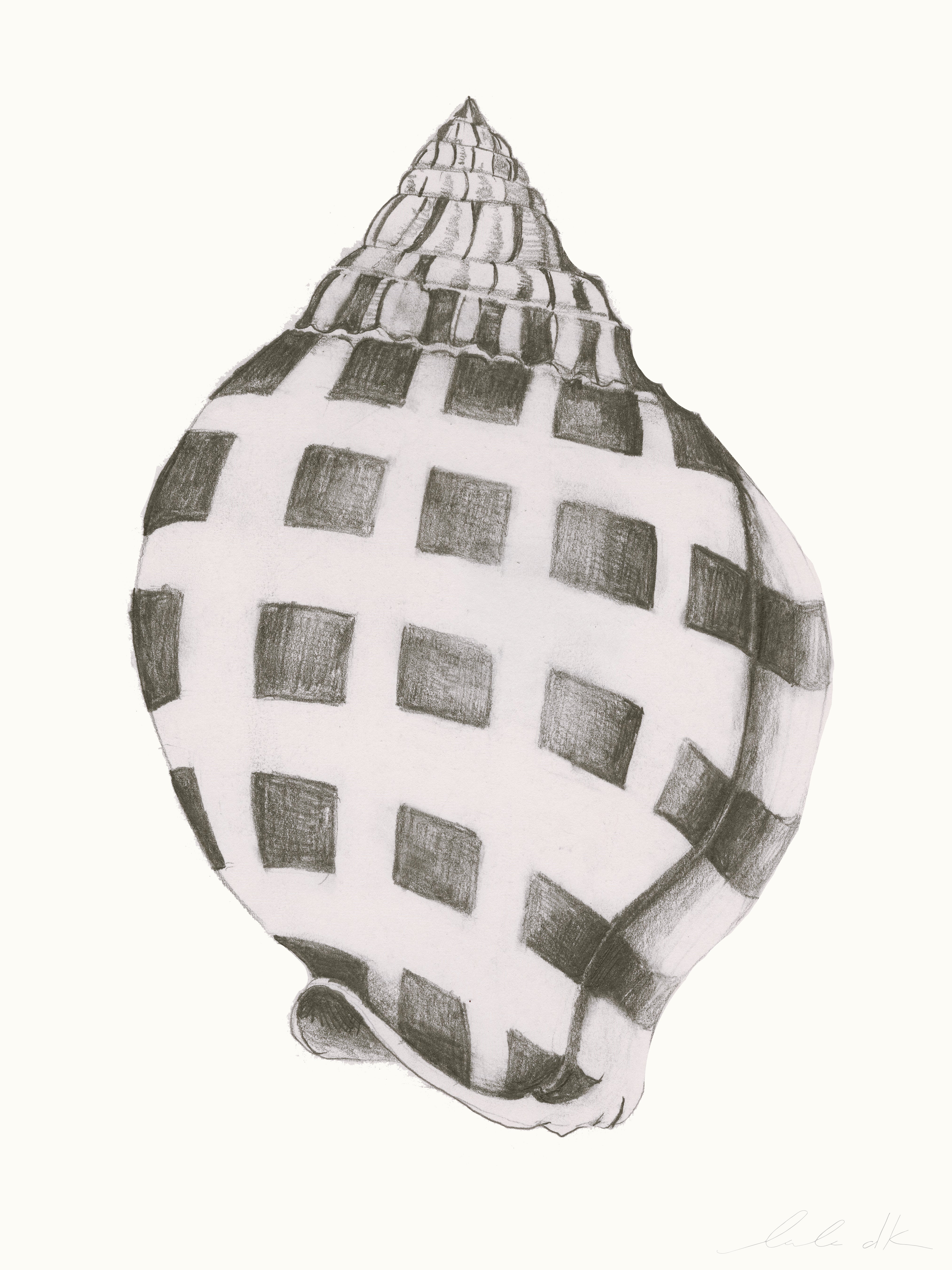 Shell Prints – LULU DK