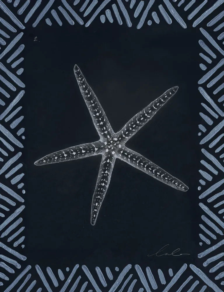 Pencil Shell Drawing II, Navy