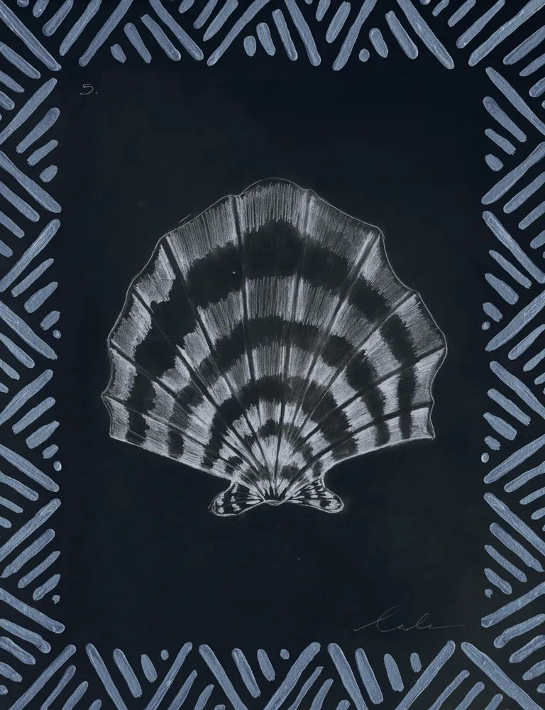 Pencil Shell Drawing V, Navy
