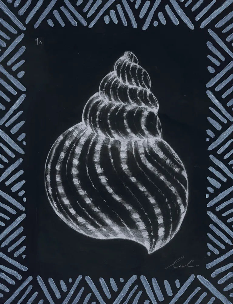 Pencil Shell Drawing I, Navy